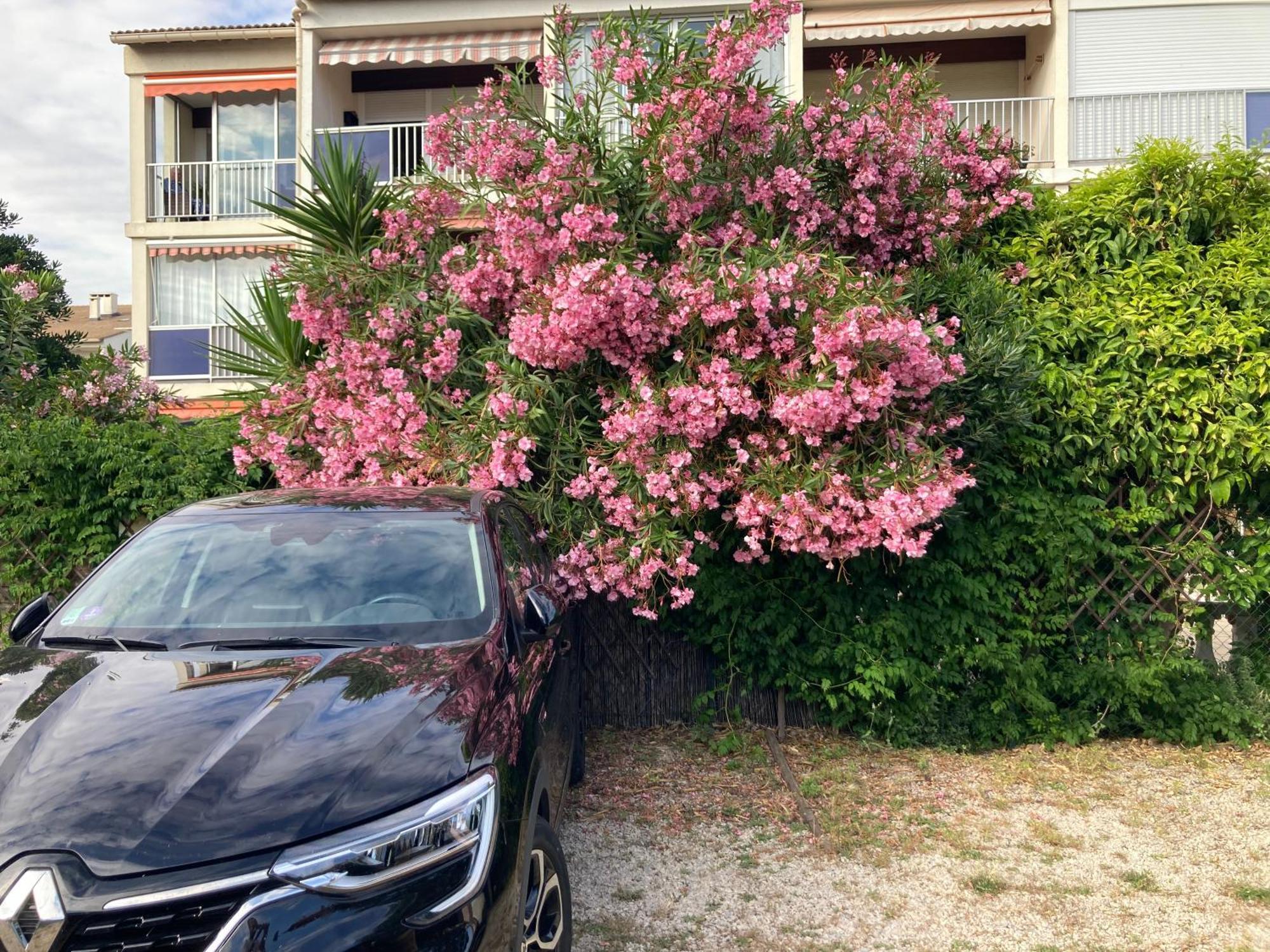 Appartement Marius لو غراو دو روا المظهر الخارجي الصورة